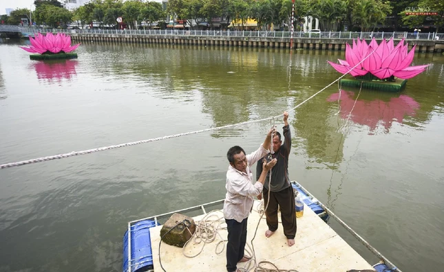 Cẩn thận cố định các hoa sen