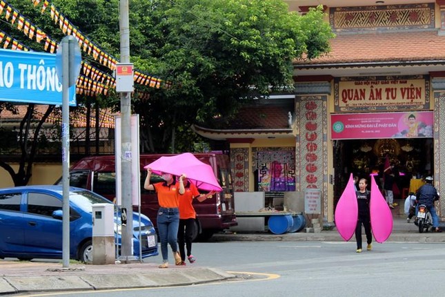 Mỗi hoa sen gồm 24 cánh sen