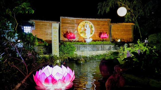 Hoa sen nở rộ khắp các miền quê trên đất nước Việt Nam