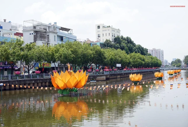 7 đóa sen vàng trên Kênh Nhiêu Lộc do chùa Giác Uyển (quận Phú Nhuận) thiết trí