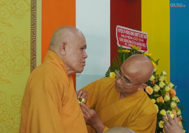 Cài hoa hồng Vu lan