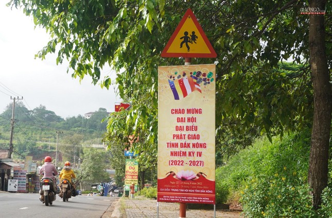 Pano trên đường Nguyễn Tri Phương