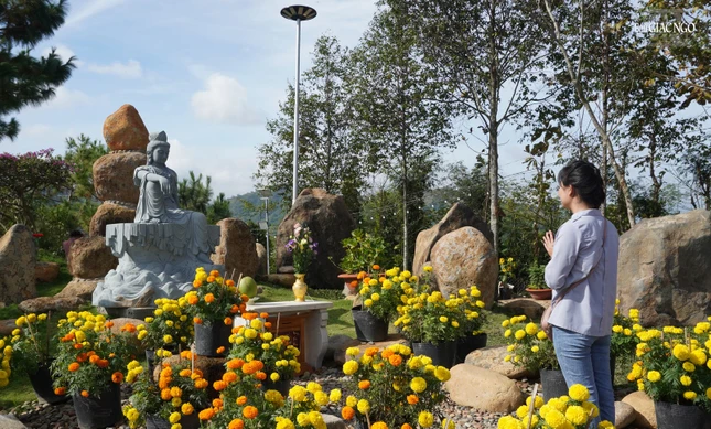 Cầu bình an đến muôn loài