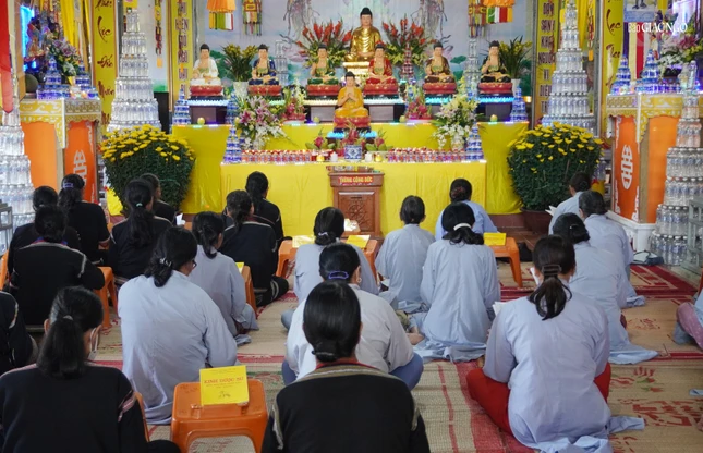 Người người an lạc