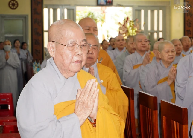 Ni trưởng Thích nữ Từ Nhẫn, Phó trưởng Phân ban Ni giới T.Ư, Trưởng Phân ban Ni giới TP.HCM