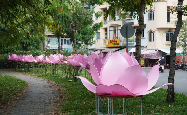 Hoa sen được thiết trí góc đường Trường Sa