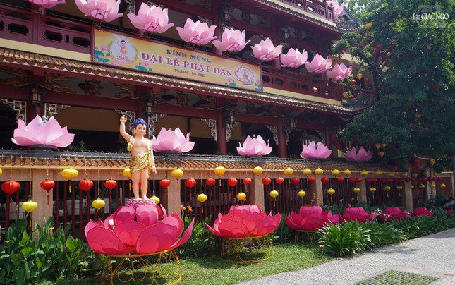 “Bảy đóa sen vàng nâng gót ngọc/ Ba ngàn thế giới đón Như Lai”