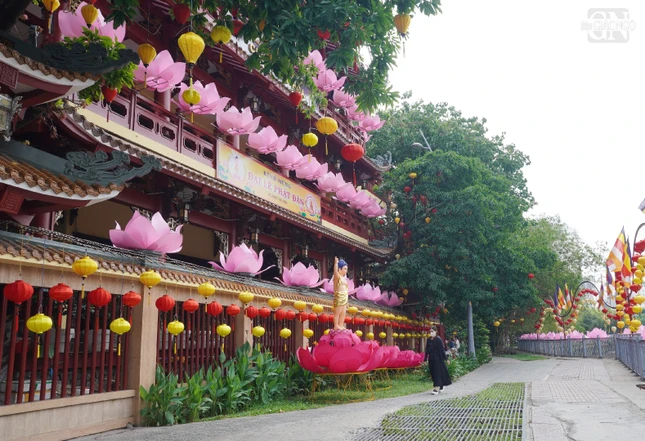 Hoa sen được thiết trí chủ đạo trong mùa sen tháng Tư tại chùa Pháp Hoa