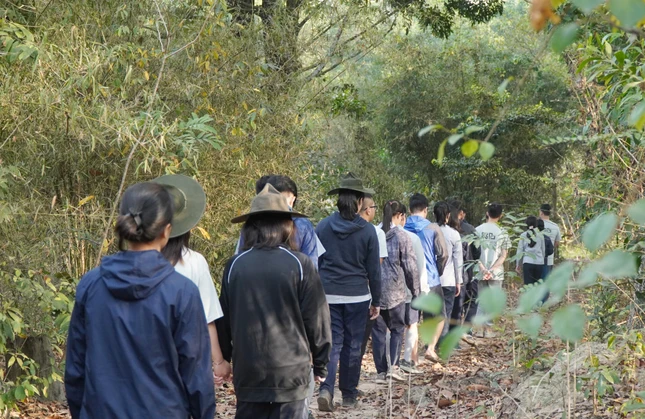 Thực tập từng bước chân chánh niệm