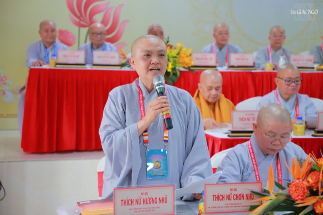 Ni sư Thích nữ Hương Nhũ, Phó Phân ban kiêm Trưởng Tiểu ban Hoằng pháp Phân ban Ni giới T.Ư