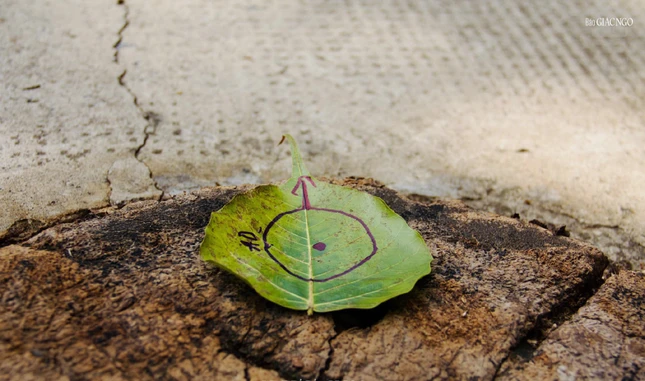 Bắt đầu - Ảnh: Dương Bá