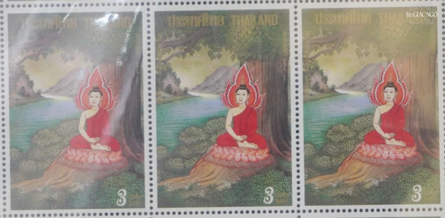 Bộ sưu tập tem của Nguyễn Hồng Quang