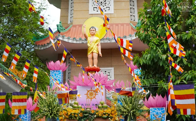 Bảy đóa sen vàng nâng gót ngọc/ Ba ngàn thế giới đón Như Lai