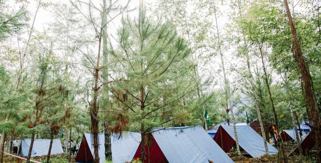 Trại dưới những cây rừng tại chùa Khánh Lâm - Ảnh: TT trại Lục Hòa III