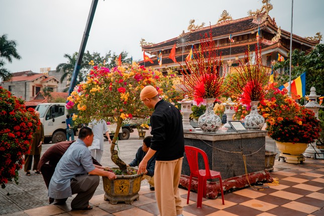 Ngập tràn không khí xuân tại chùa Đại Giác Ngập tràn không khí xuân tại chùa Đại Giác