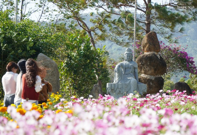 Khắp chùa Quảng Trạch ngập tràng sắc xuân