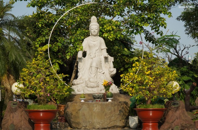 Tu viện Khánh An hiện tại là nơi thường xuyên tổ chức các khóa tu, khóa thiền, thiền tứ niệm xứ và nhận được sự quan tâm của đông đảo chư Tăng, Phật tử