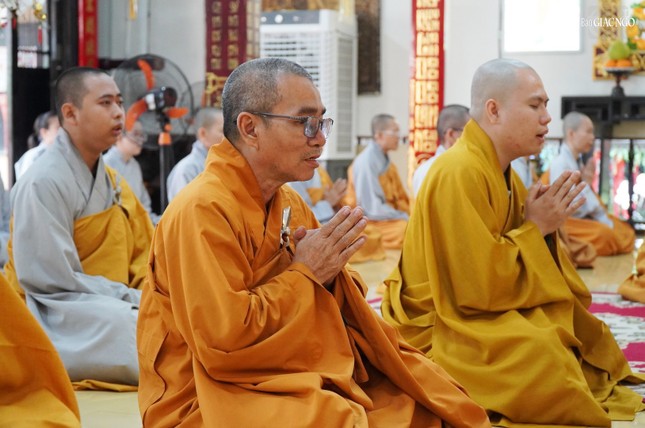 Mỗi vị tùy nghi có thể đăng ký từ 1 đến 4 bộ luật tiểu