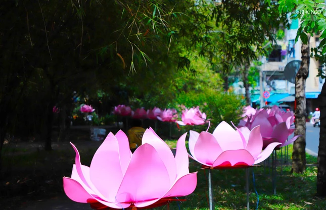 Hoa sen trên đường Trường Sa
