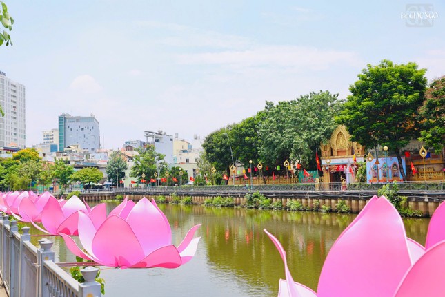 Sen hồng tháng Tư