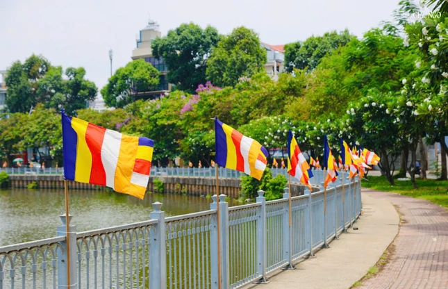 Cờ Phật giáo tung bay phất phới trước chùa Hải Đức (Q.Phú Nhuận)