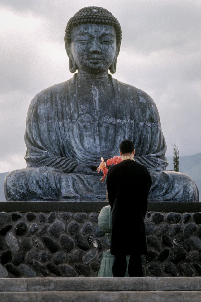 Kinh tạng Pāli chứa đựng một quan điểm đa dạng về người tại gia và cách đọc hạn chế theo truyền thống đã bỏ qua sự đa dạng này