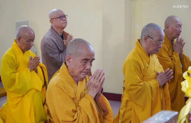 Hòa thượng Thích Minh Hiền, Trưởng tông phong Tổ sư Thiền