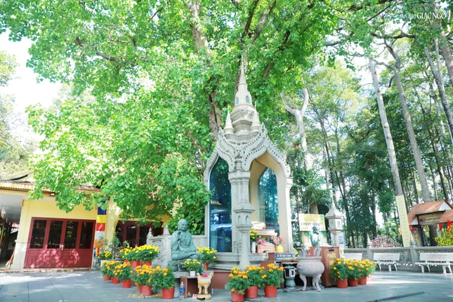 Năm 1938, ông Nguyễn Văn Hiểu và những người bạn gặp bà Cả, thân mẫu ông Bùi Ngươn Hứa xin mướn khu đất rừng rậm rạp tại Gò Dưa, làng Tam Bình, quận Thủ Đức để xây dựng chùa. Nhưng với tâm đạo bà đã hiến cúng với danh nghĩa bán 1 đồng tiền. Ngay sau đó, ông Hiểu cho xây cất một ngôi chùa lá và tám tịnh thất theo kiểu nhà sàn của người Campuchia để chư Tăng tu học