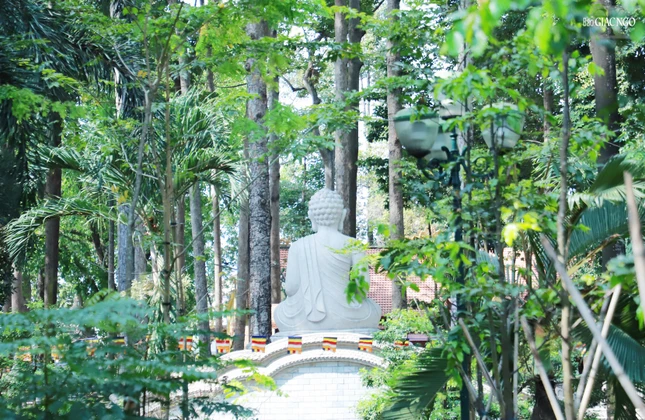 Chốn rừng thiền thâm u