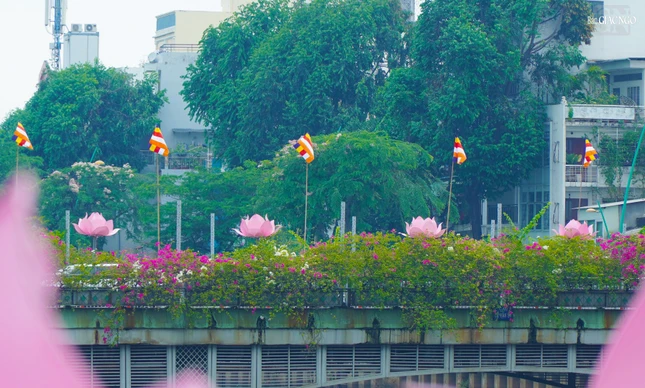 Cờ, hoa sen trên cầu Lê Văn Sỹ