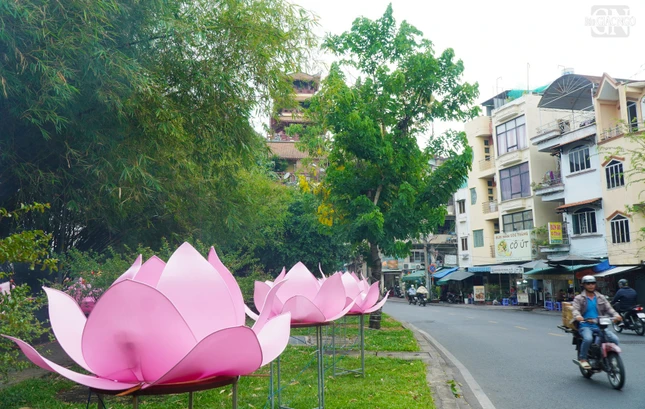 Sen hồng thiết trí phía đường Trường Sa