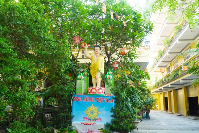 Tại chùa Huỳnh Kim