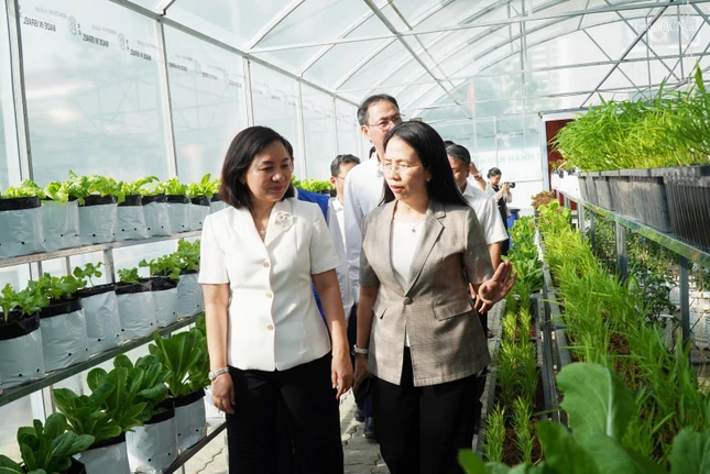 Tham quan công trình muôn sắc hoa phường Tân Mỹ Tham quan công trình muôn sắc hoa phường Tân Mỹ