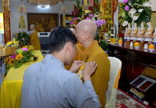 Cài hoa hồng Vu lan