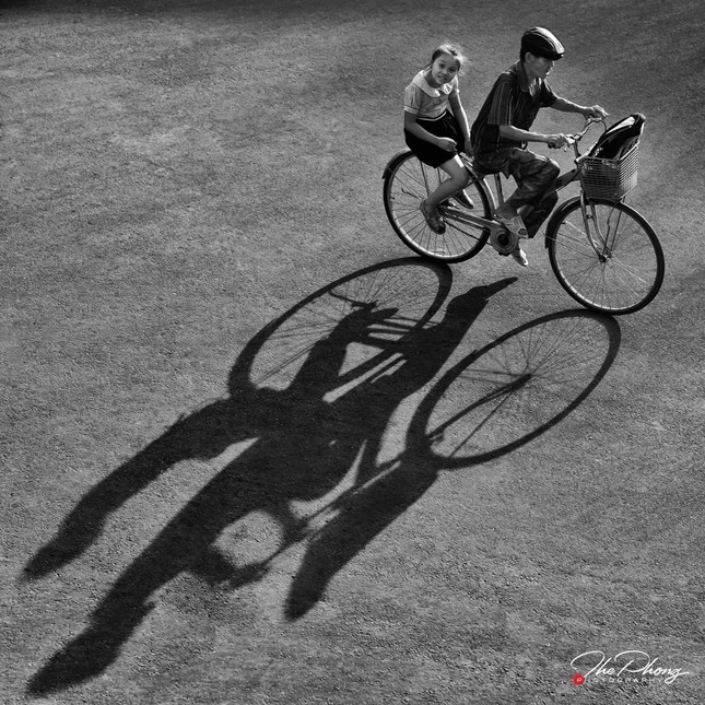 Những tác phẩm của Trần Thế Phong tại triển lãm