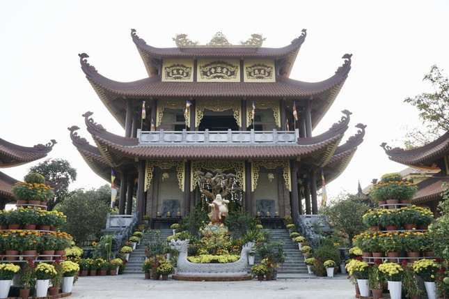 Chùa có diện tích gần 12.000 m2, gồm nhiều công trình tu học và giáo dục