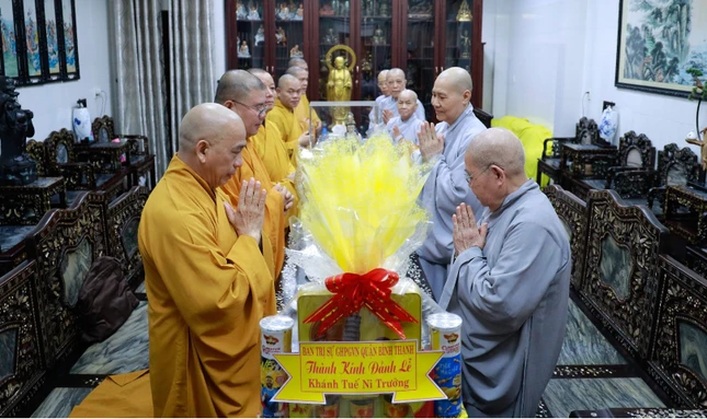 Thăm chúc sức khỏe Ni trưởng Thích nữ Từ Nhẫn