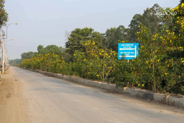 Trải nhựa nhiều tuyến đường, nạo vét kênh, trồng thêm cây xanh tạo cảnh quan đẹp 2 bên bờ kênh...