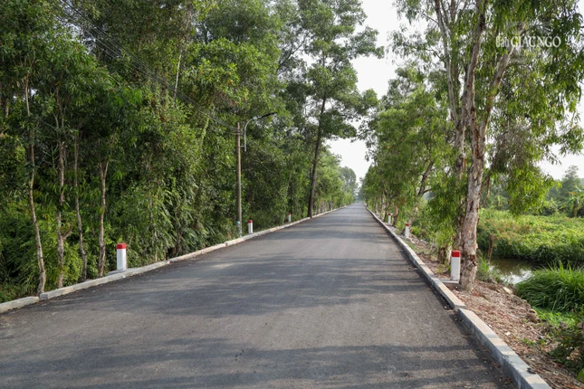 Cung đường đẹp chào đón đại biểu về tham dự Đại lễ