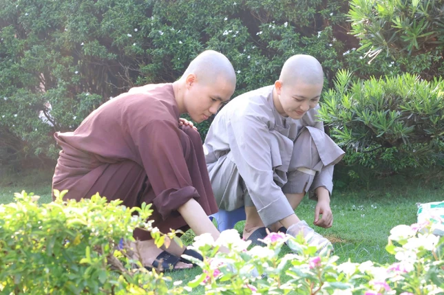 Chăm chút tỉ mỉ từng cánh hoa, ngọn cỏ