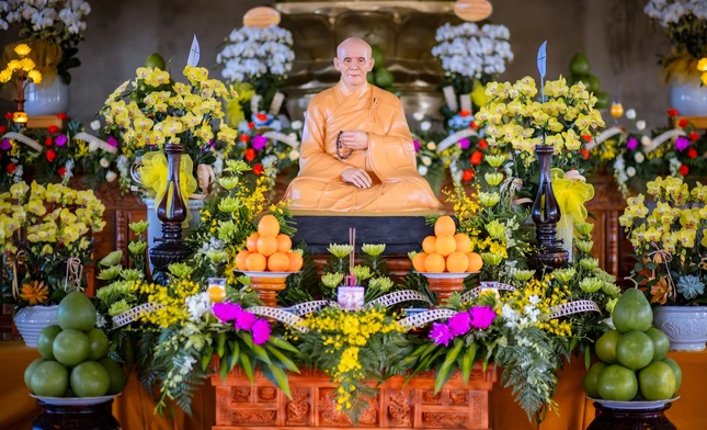 Pháp tướng Hòa thượng Thích Thiện Đạt