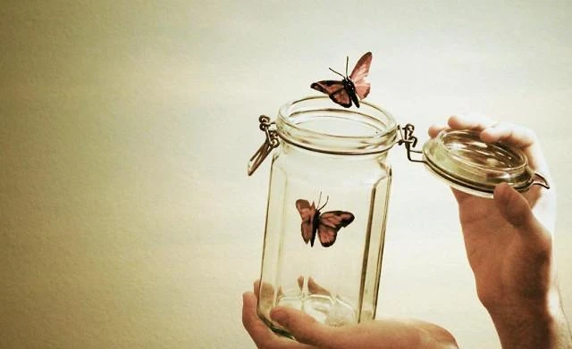 Phật tử thường mắc bệnh cố chấp nên khổ hoài - Ảnh minh họa Phật tử thường mắc bệnh cố chấp nên khổ hoài - Ảnh minh họa