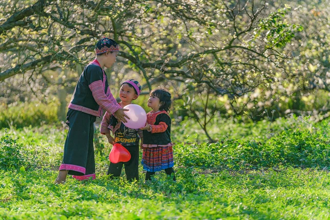 Mộc Châu - Ảnh: Cao Thị Ngọc Diễm