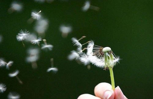 Ảnh minh họa Ảnh minh họa