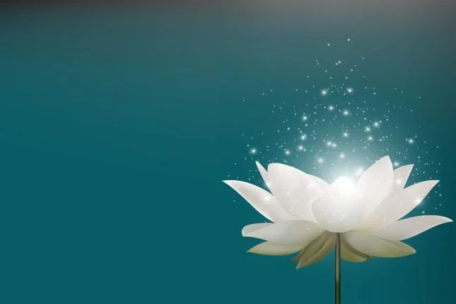 Tuy thân tâm thoát tục, nhưng lòng từ của sư không hề rời bỏ cuộc đời... Tuy thân tâm thoát tục, nhưng lòng từ của sư không hề rời bỏ cuộc đời...