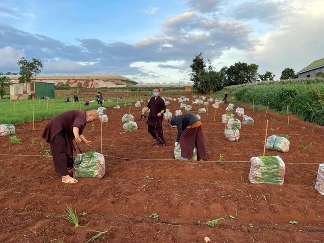 Chư Tăng, Ni hoan hỷ phụ một tay