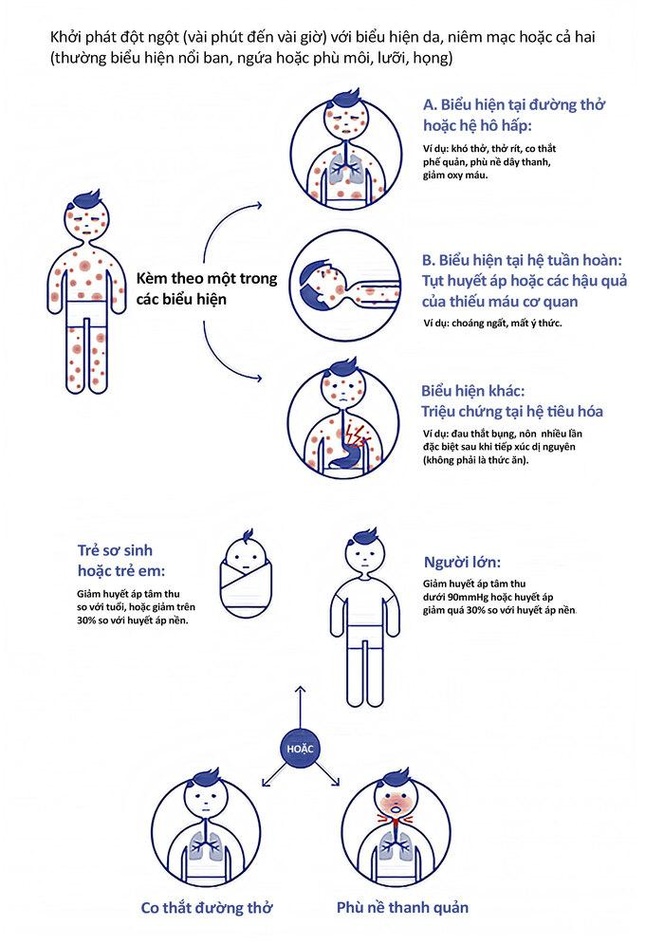 Minh họa phản ứng dị ứng được bác sĩ Tiến dịch từ nguồn WAO