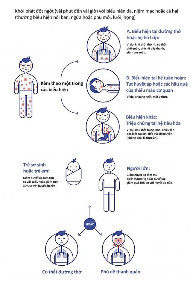 Minh họa phản ứng dị ứng được bác sĩ Tiến dịch từ nguồn WAO