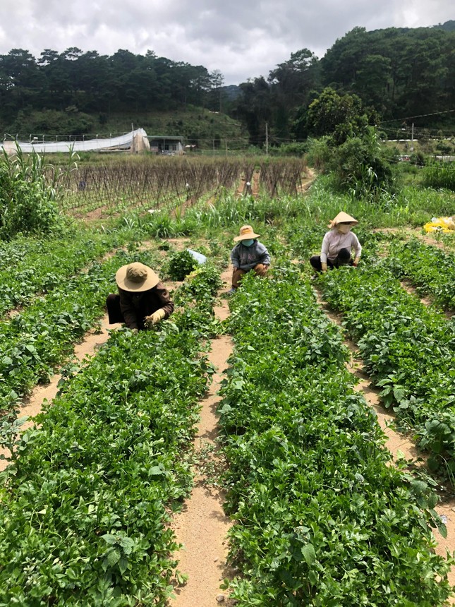 Chung một tấm lòng
