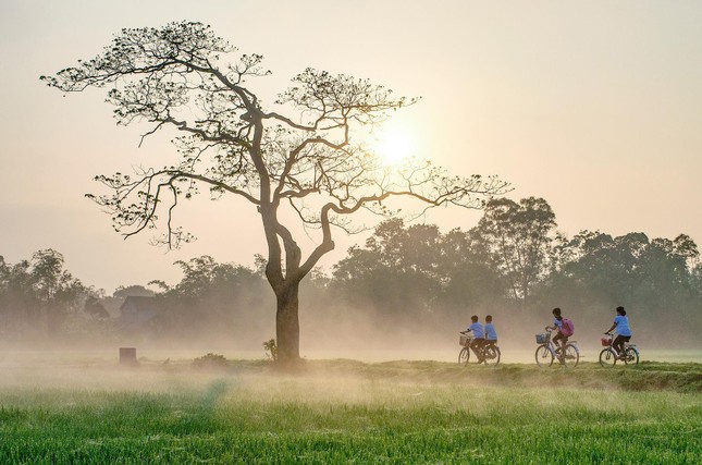 Ngày đầu tiên đi học của tôi không có "một buổi mai đầy sương thu và gió lạnh" như trong tác phẩm Tôi đi học của nhà văn Thanh Tịnh. Ngày đầu tiên đi học của tôi không có "một buổi mai đầy sương thu và gió lạnh" như trong tác phẩm Tôi đi học của nhà văn Thanh Tịnh.
